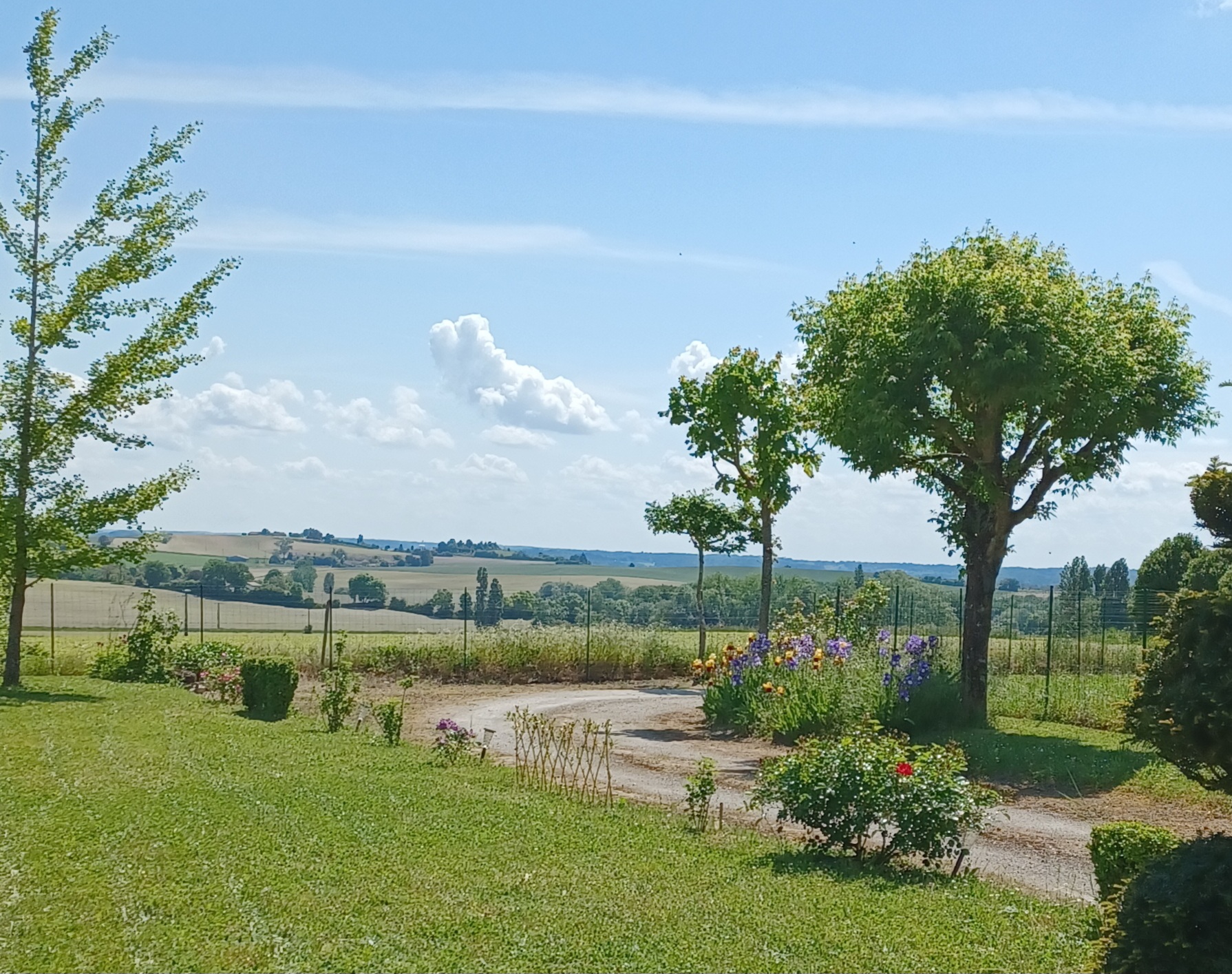 Vue depuis le jardin — pelouse, vignes, campagne charentaise